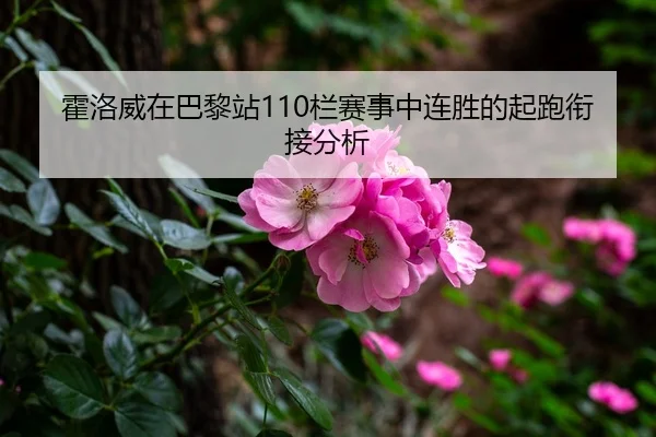 霍洛威在巴黎站110栏赛事中连胜的起跑衔接分析