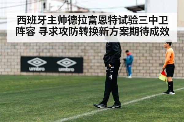 西班牙主帅德拉富恩特试验三中卫阵容 寻求攻防转换新方案期待成效
