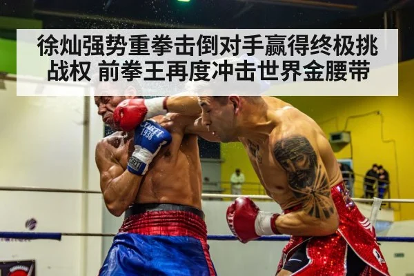 徐灿强势重拳击倒对手赢得终极挑战权 前拳王再度冲击世界金腰带